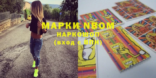 молекула духа Бородино