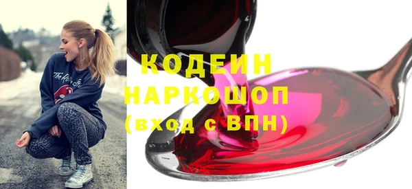 молекула духа Бородино