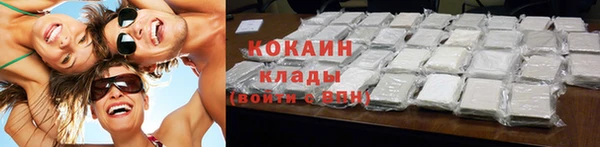 молекула духа Бородино