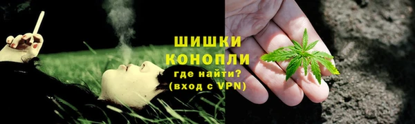 МДПВ Богородицк