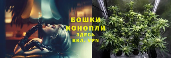 молекула духа Бородино