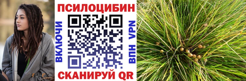 Галлюциногенные грибы мицелий  как найти закладки  Миллерово 